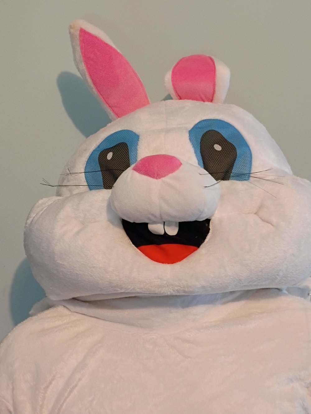 Kids White & Pink Bunny Costume Plush Hooded Outfit